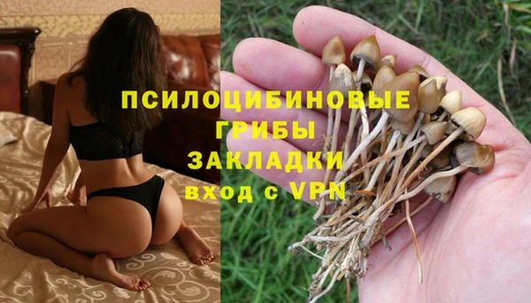 ECSTASY Дмитровск