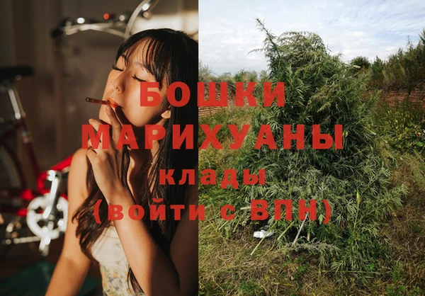 каннабис Дмитров