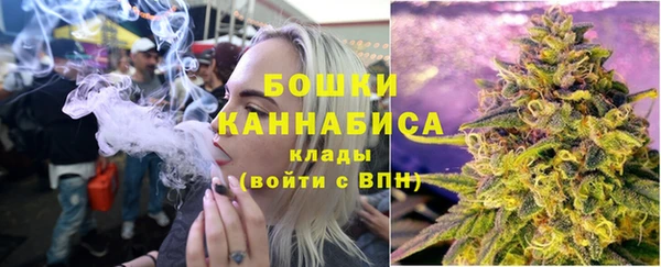 СК Елизово