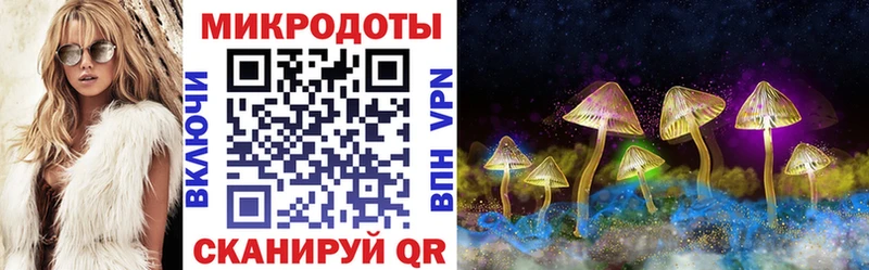 Купить Салехард Псилоцибиновые грибы мицелий